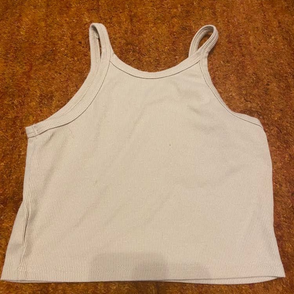Beige Crop Top